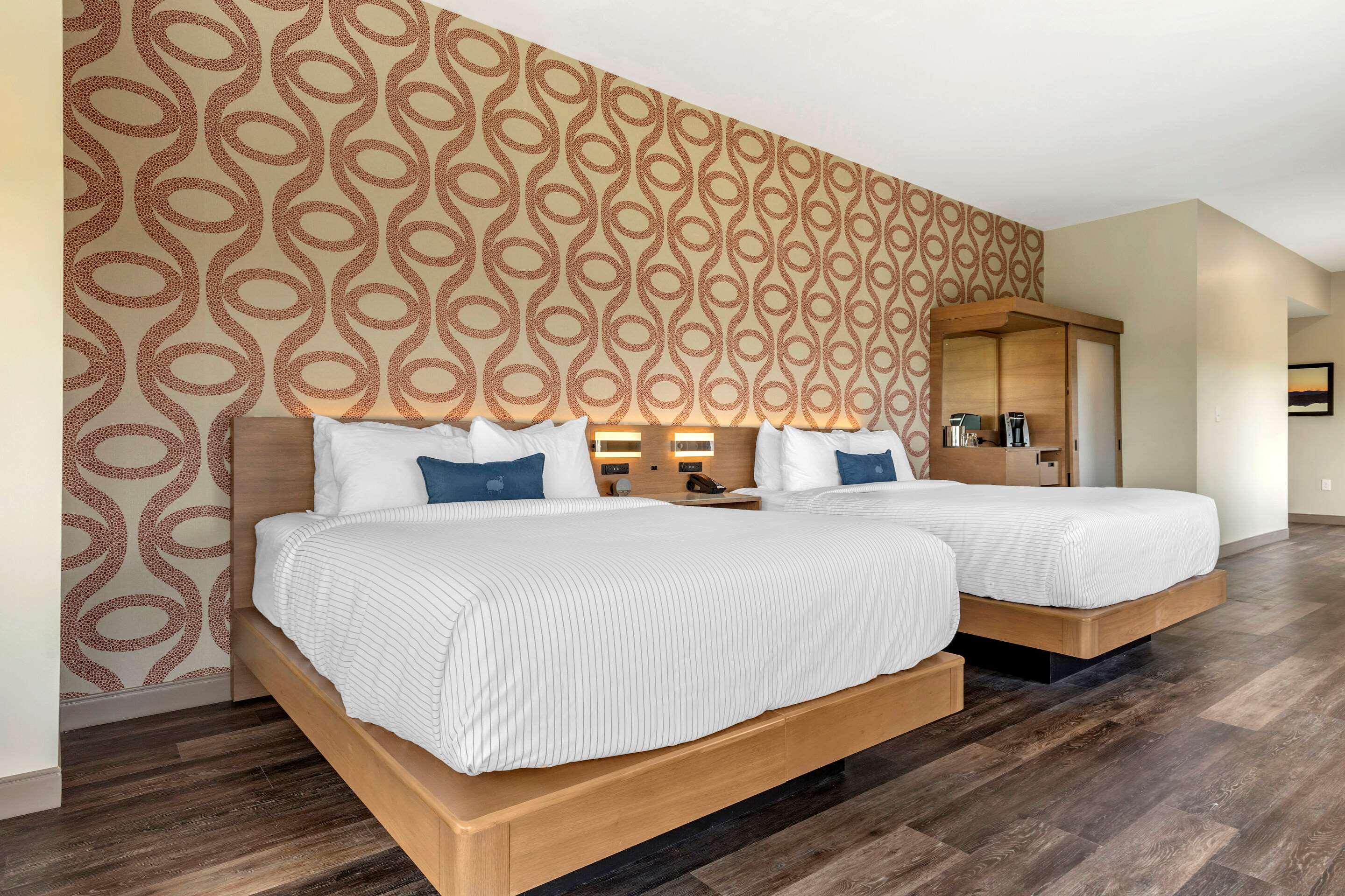 Cambria Hotel גרינוויל מראה חיצוני תמונה