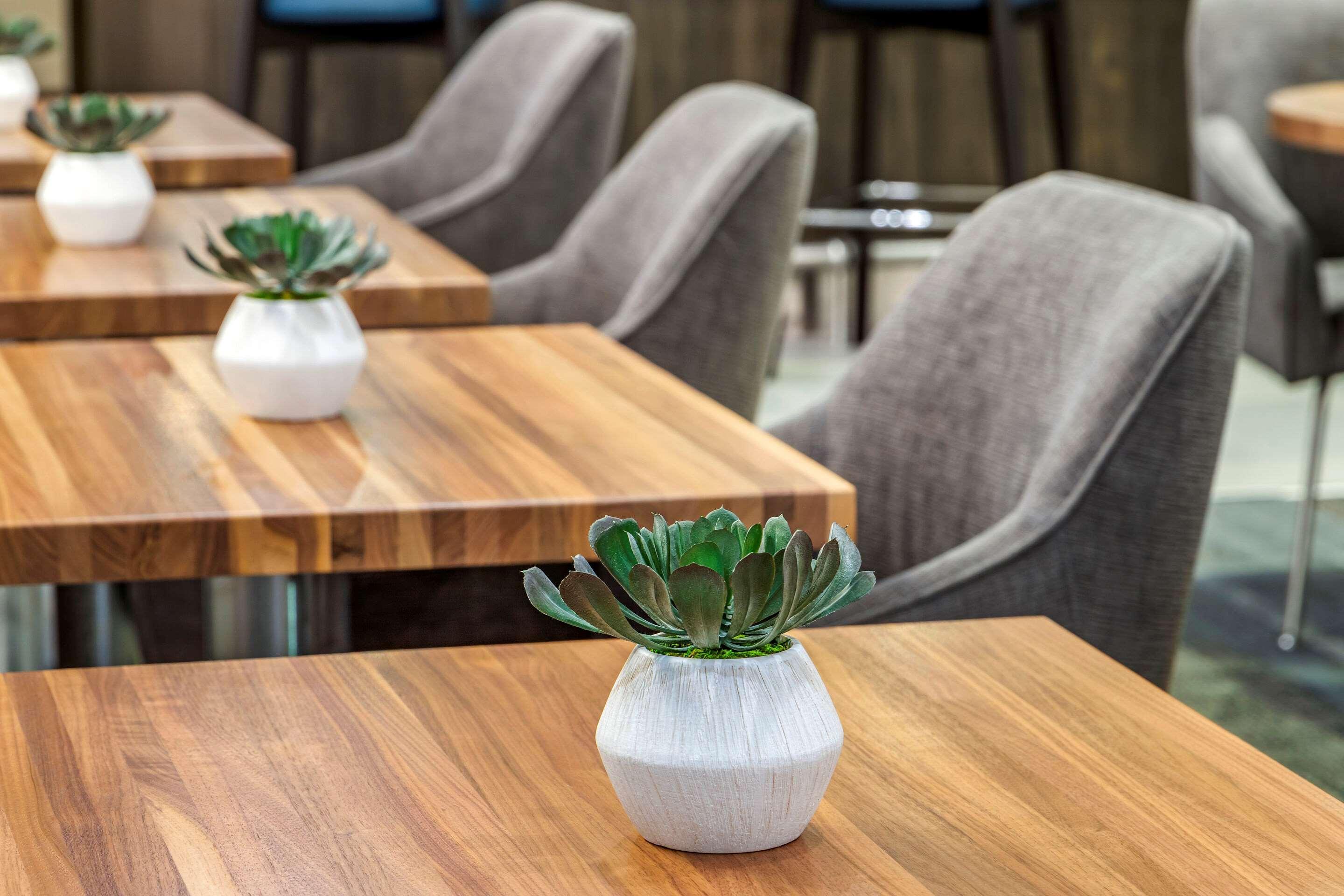 Cambria Hotel גרינוויל מראה חיצוני תמונה